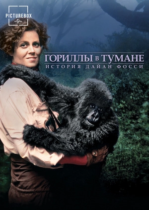 Гориллы в тумане